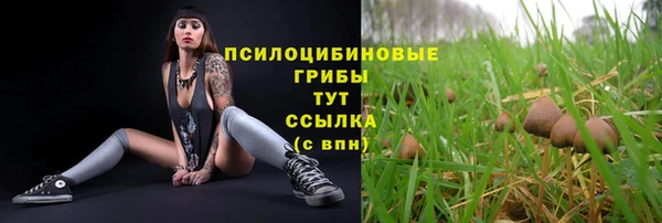 ECSTASY Каменск-Шахтинский
